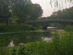 -东郊湿地公园