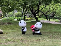 -东湖落雁景区