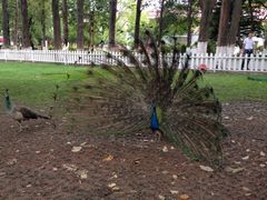 iphone_upload_pic-西昌邛海宾馆