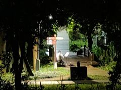 -洋湖国家湿地公园