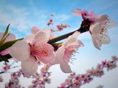 -南京金牛湖风景区