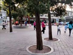 -后海公园
