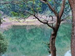 -福建鲤鱼洲酒店