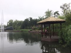 -成飞公园