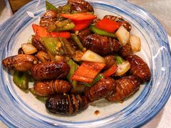 -渔娘渔家丹东海鲜(东直门店)