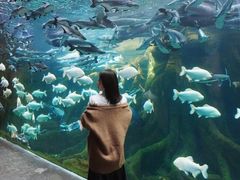 -波塞冬旅游度假区