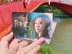 -荷兰花海