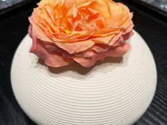 -王家渡火锅店(棕榈泉店)