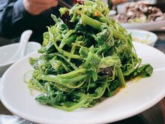 珊瑚丝瓜尖-皇家冰窖小院(什刹海店)