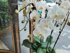 -上海新发展亚太JW万豪酒店