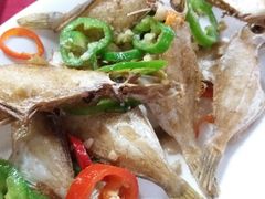 -蛇口康乐快餐鱼仔档(翠苑小区店)