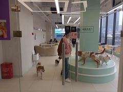 -怪兽屋·羊驼·猫咖·狗咖(俊华广场店)