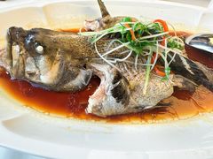 清蒸老虎斑-莆鑫海鲜城(浏河店)