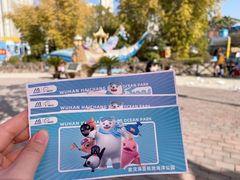 -海合安武汉极地海洋公园