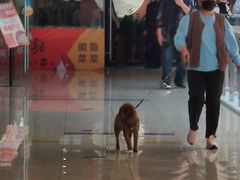 -宝龙广场(蓬莱区)