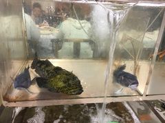 -海上人家The Sea Food Paradise Restaurant & Bar