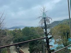 -逸廊大堂吧-下午茶·简餐-千岛湖自由洲际殿