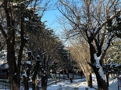 -南山公园