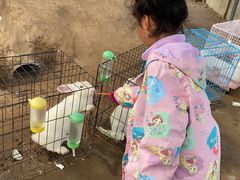 -前小桔亲子创意农场·草莓采摘·露营烧烤