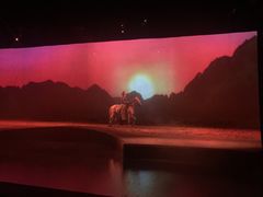 -cavalia·舞马