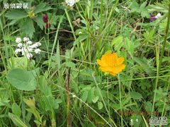 -塞罕坝国家级自然保护区