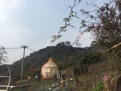 -玫瑰庄园·自助烧烤·烤全羊·团建拓展(龙泉山店)