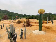 -西海岸生态观光园