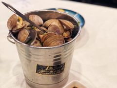 丹东黄蚬子-渔娘渔家丹东海鲜(东直门店)