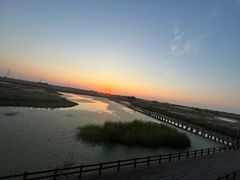-宁波杭州湾国家湿地公园