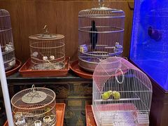 -老江南春·中国龙菜(衡山路店)