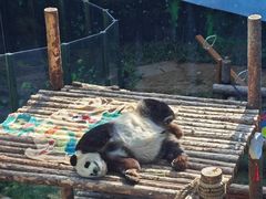 -大连森林动物园