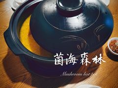 -菌海森林·非遗野生菌火锅(西山区滇池路摩根道店)