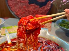 -渝大龙重庆火锅(温泉月亮湾店)