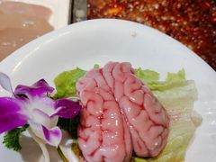 -红鼎坊·老成都火锅(新南门店)