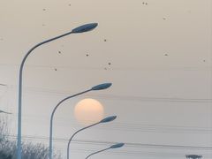 -麻六记(凤凰汇店)