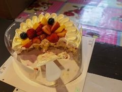 -维尔纳斯·生日蛋糕·动物奶油冰淇淋蛋糕(六里桥店)