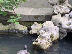 -普陀山风景名胜区-法雨禅寺