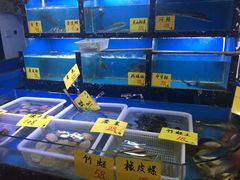 -渔人码头蒸汽海鲜(虬泾路店)