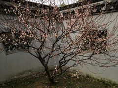 -无锡梅园公园