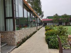 -洪湖家庭农场·团建·露营·会议