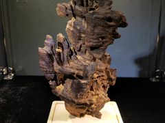 -徐汇艺术馆
