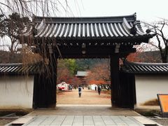 -醍醐寺