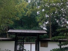 -新洲生态园