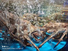 -徐记海鲜(大雁塔|金都店)