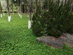 -东升八家郊野公园