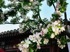 -元大都城垣遗址公园