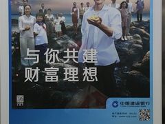 -the rug 飞毯 (朝阳公园店)