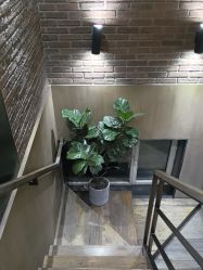 -韩国李知恩形象设计