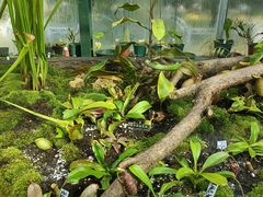 -国家植物园南园