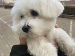 -乖乖宠物医院·猫科·骨科·24小时(云岗分院)